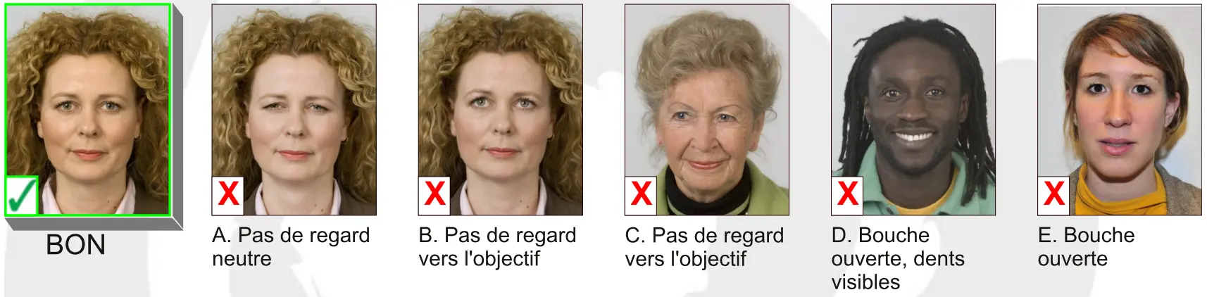 Belgium passport photo