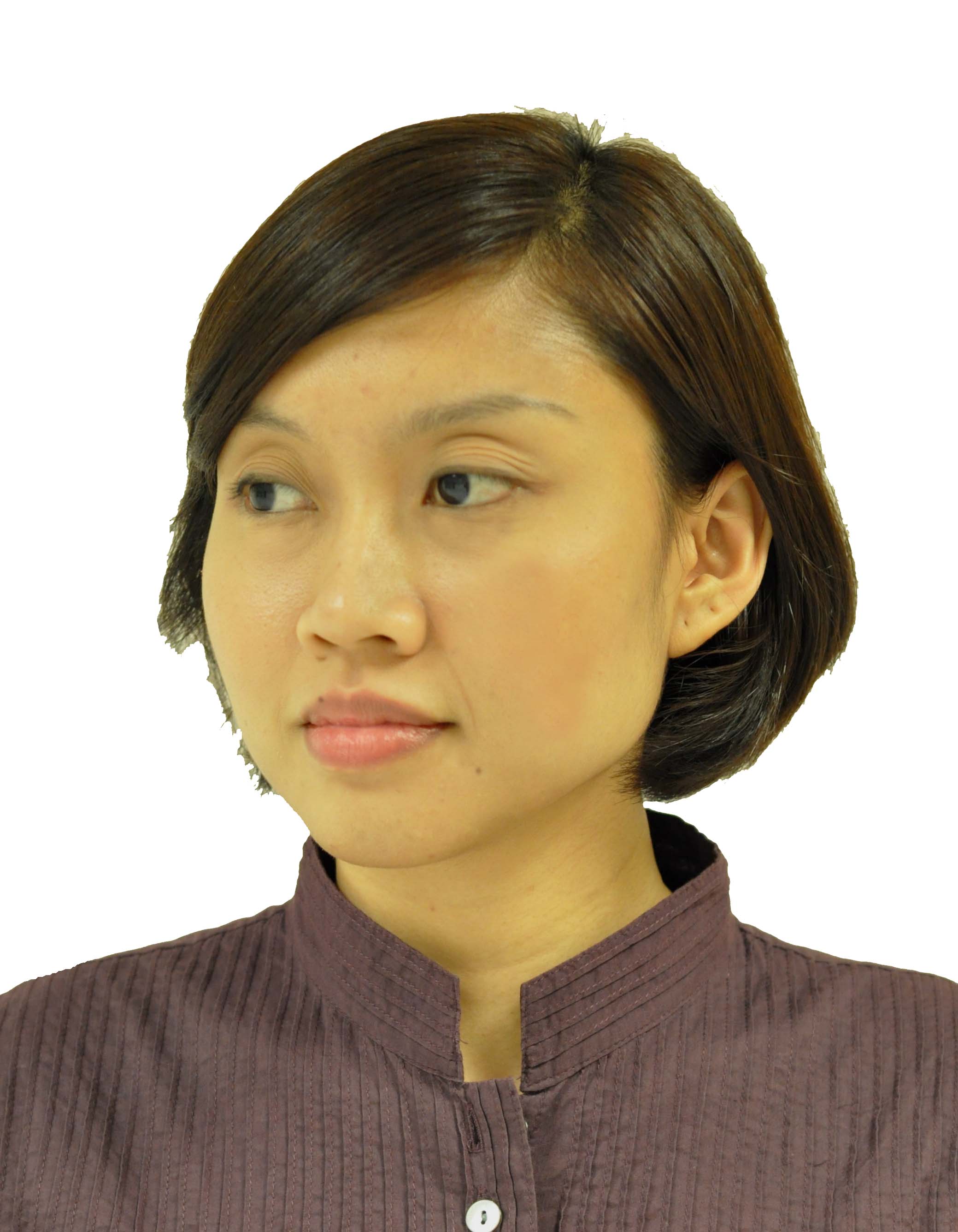 Make Singapore Passport / Visa Photo Online