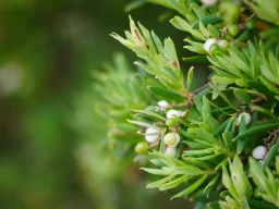Жишээ зураг 1